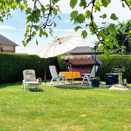 Albrecht In Metschow Borrentin