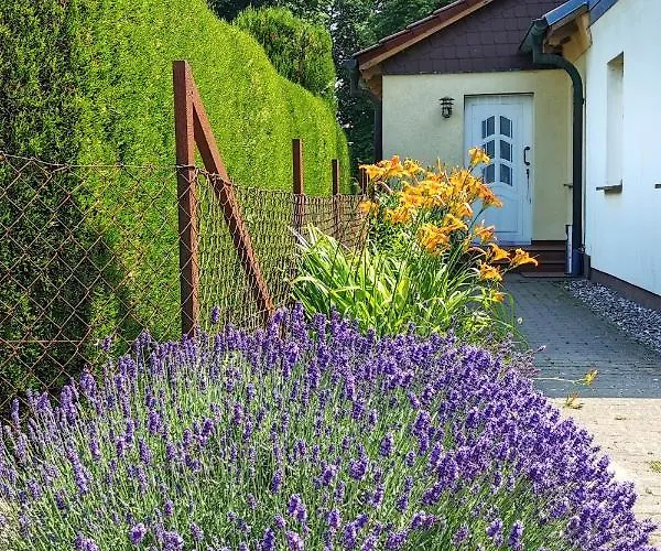 Albrecht In Metschow Borrentin