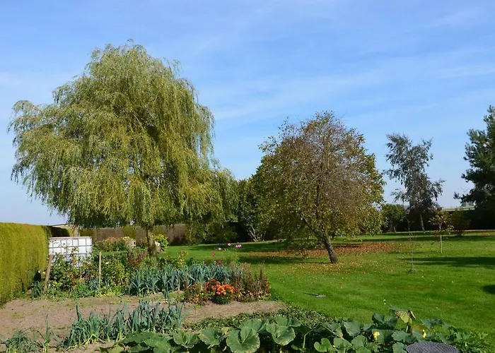 Albrecht In Metschow 아파트 *